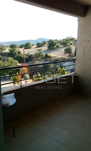 2 Bdr APARTMENT IN PALODIA