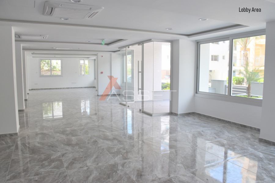4 Bdr PENTHOUSE IN P. GERMASOGEIA AREA